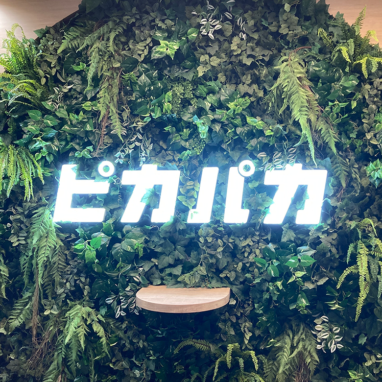 株式会社ピカパカ