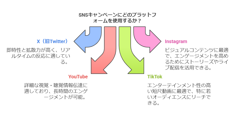 各SNSプラットフォームの特性とキャンペーンの種類を示す図
