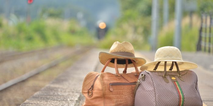 【必見！】今年の夏休みの旅行意向について聞いてみた！！